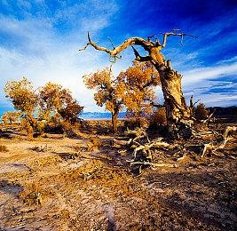 《赛博朋克2077》DLSS4更新测试：图像更清晰、帧数更高